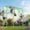 Green, variant on LeisureStar Kids Monkey Bars Jungle Gym, Metal Outdoor Climbing Frame & Playground Equipment for Backyard, Blue
