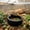 Black, variant on Kna Reptile Feeding Food Gecko And Hamster Easy Clean Food Water Bowl