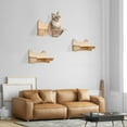 thumbnail image 4 of Miumaeov Wall-Mounted Wooden Cat Space Capsule Cat Bed Step Large Transparent Cat House Set Pets House Cat Cat Furniture for Indoor Large Cats, 4 of 12