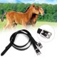 thumbnail image 3 of 1 Par de Legar de Estribo 50 cm Hebilla del Caballo Cinturón de Estribo Herramienta de Caballo Cinturón de Estribo, Receptor de Estribo, Accesorios de Caballos para Caballos, 3 of 7