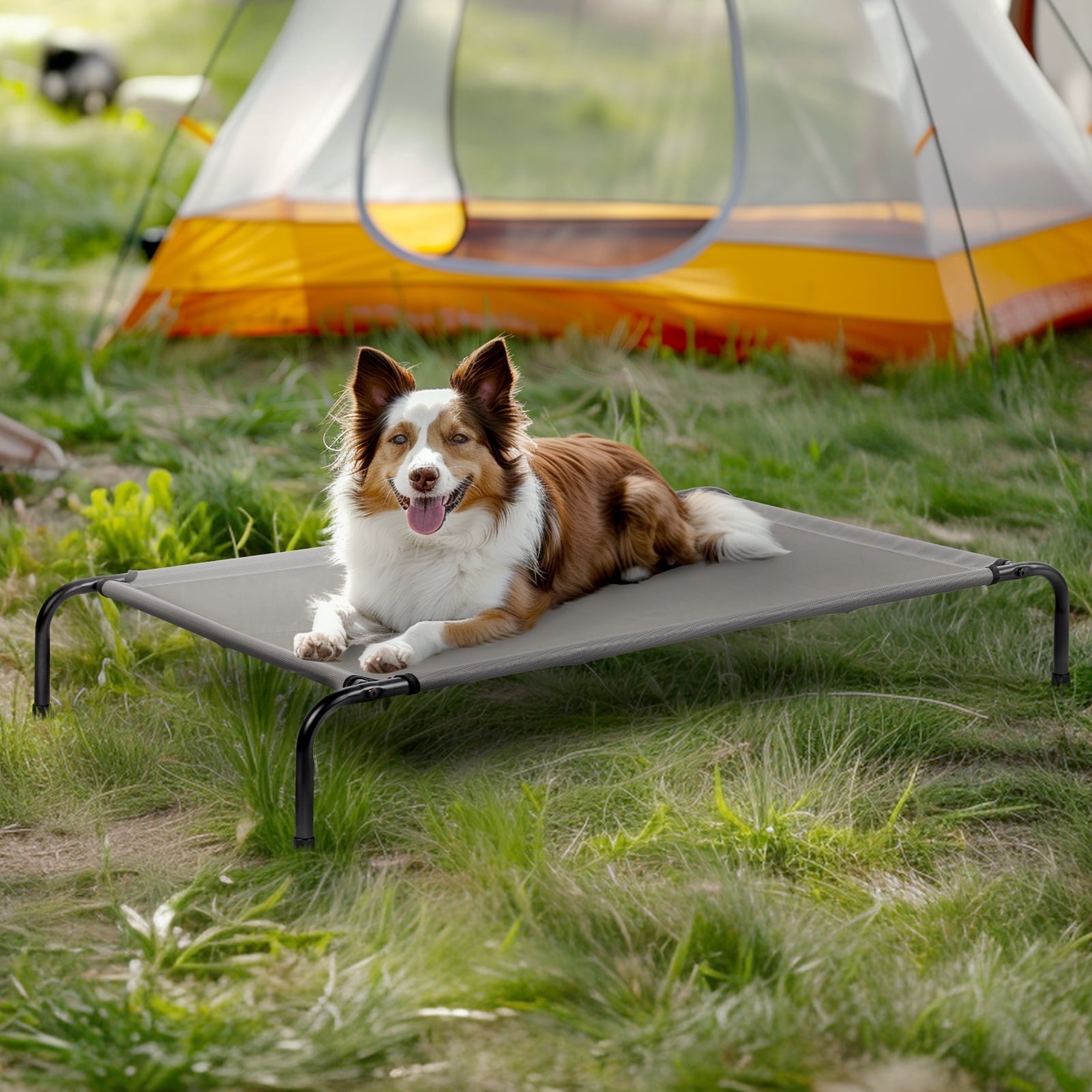 ZephyPaws Cooling Elevated Raised Dog Cots Bed for Dog Cat,Portable Pet Hammock for Medium Dog,Gray