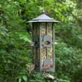 PerkyPet 6 lb SquirrelBeGone Wild Bird Feeder