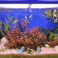 thumbnail image 3 of 7 Pcs Adorables Mini Ponts Paysage Herbe Ornement Rétro Accessoires de Décoration (Style Mixte), 3 of 6