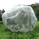 thumbnail image 2 of Muyoka Kyoffiie - Cubierta para plantas de jardín, nailon, transpirable, para plantas, insectos, malla, antiinsectos, ultrafina, para plantas, antipájaros, con cremallera, para patio, granja, campo de Muyoka Hogar, 2 of 7