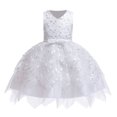 thumbnail image 1 of Vestido de princesa de encaje de verano para niñas, vestido de baile Floral con flores para niñas, ropa para niñas, disfraces de tutú para fiesta de 1er cumpleaños 5T (etiqueta 120) Gao Jinjia LED, 1 of 2