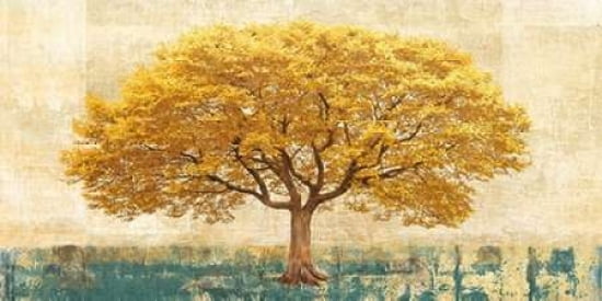 Posterazzi Gilded O