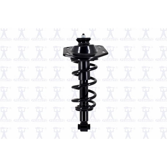 Suspension Strut and Coil Spring Assembly