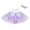Purple, variant on Bagilaanoe Newborn Baby Girl Party Dress Floral Print Sleeveless A-line Princess Dresses + Hairband 3M 6M 12M 18M 24M Infant Lace Patchwork Tulle Skirt