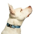 thumbnail image 6 of Vibrant Life Dog Collars, Plaid Fashion Pet Collar, Blue, Large, 6 of 9