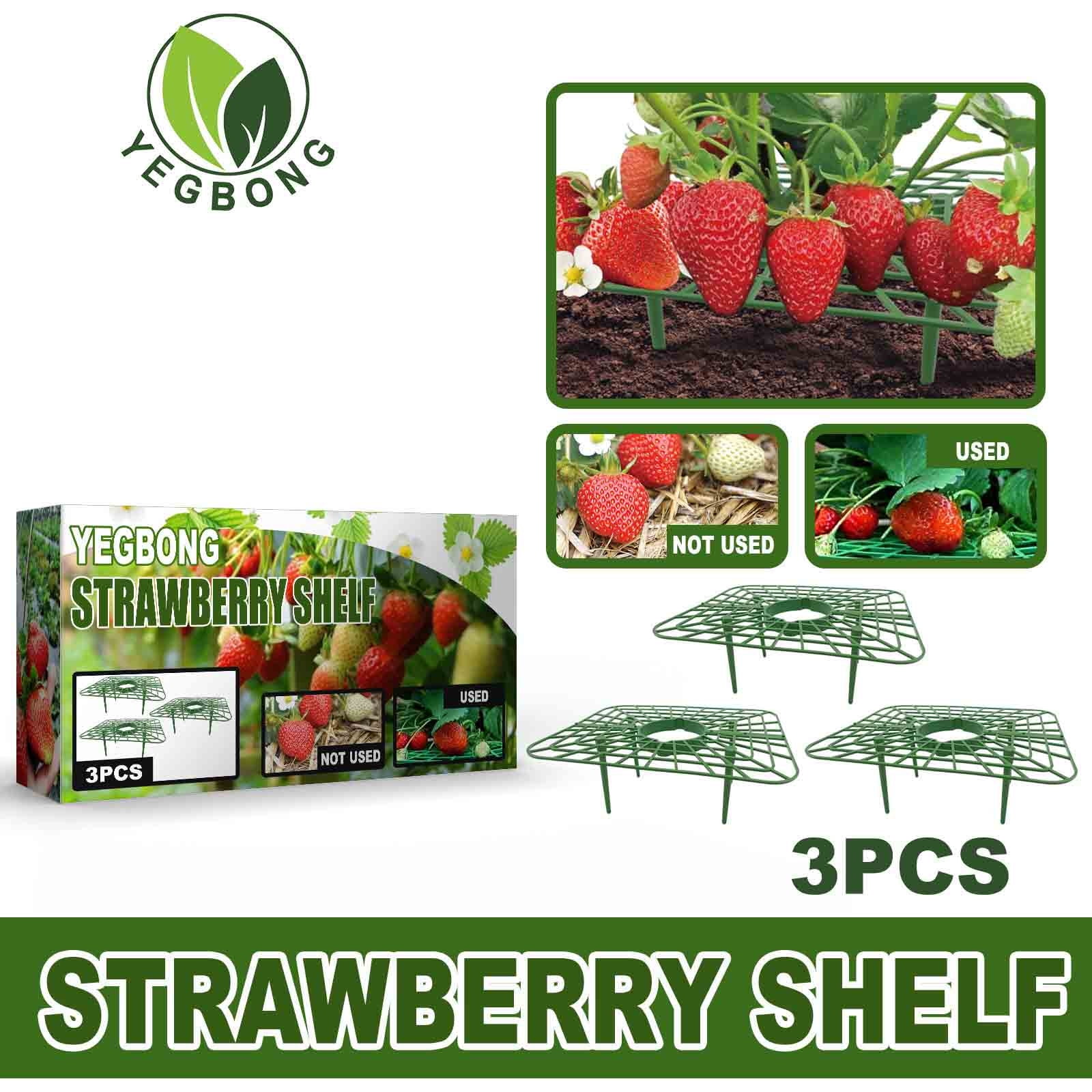 Strawberry Stand Planting Rack Fruit Support Plant New Stand Gardening Stand