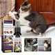 thumbnail image 4 of No Chew Spray For Dogs Pet Corrector Anti Chew Spray Anti Chew Training, 4 of 5