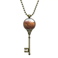 thumbnail image 1 of Sunshine Forestry Science Nature Scenery Key Necklace Pendant Tray Embellished Chain, 1 of 3