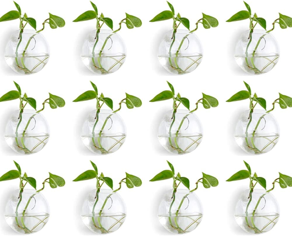 Coolnut 12 Pcs Wall Hanging Glass Planters 10cm Diameter Round Glass
