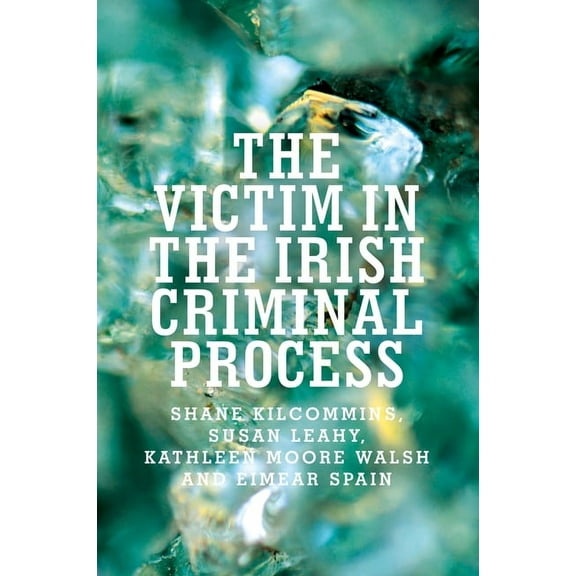 The Victim in the Irish Criminal Process (Paperback)