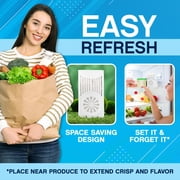 NonScents Refrigerator Deodorizer - Odor Eliminator for Fridge & Freezer - Outshines Baking Soda