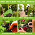 thumbnail image 4 of AGCAN Bypass Pruning Shears 3/4'' Garden Hedge Clippers, Ultra Sharp Pruners Gardening Tools, Professional Heavy-Duty Titanium Garden Scissors, 4 of 9