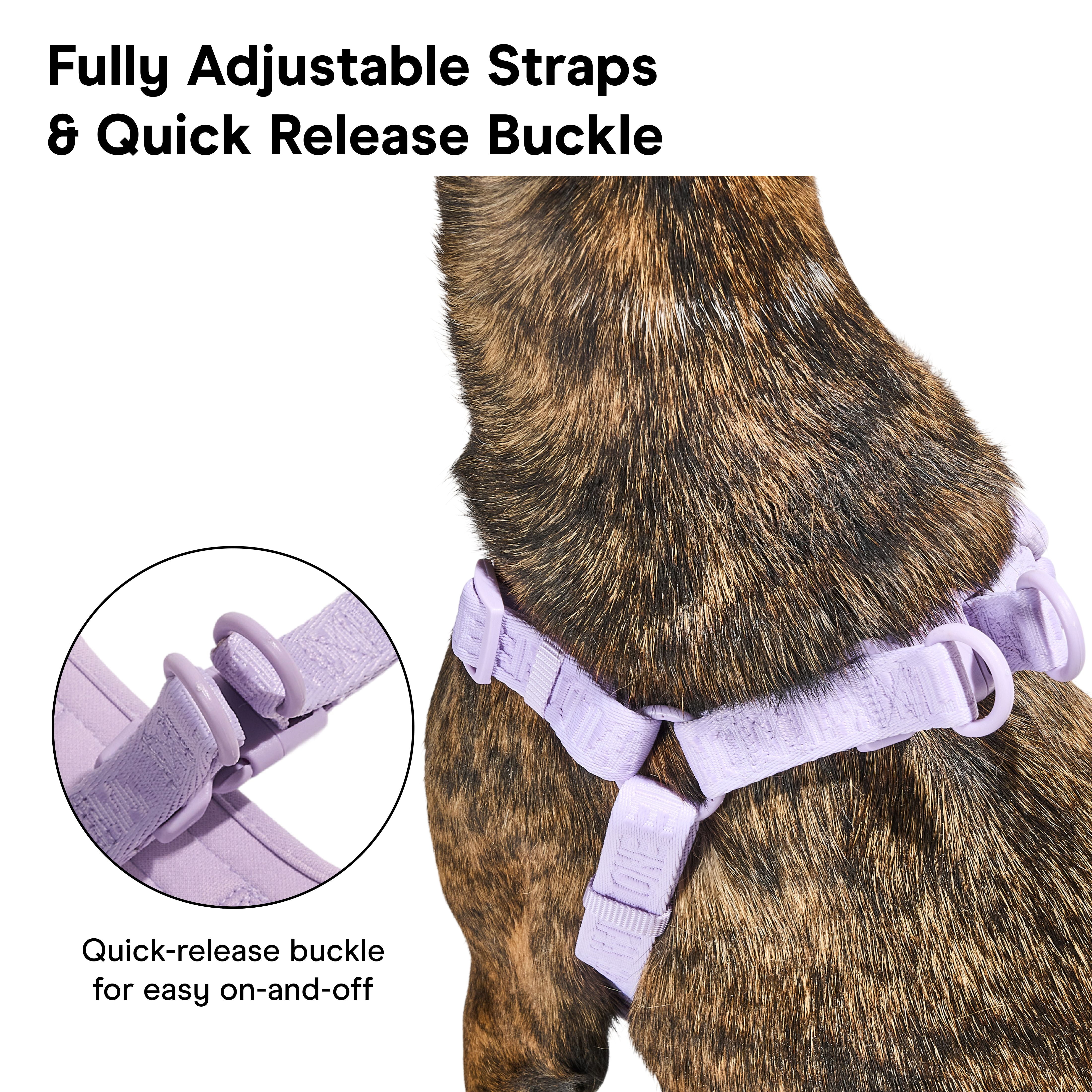 Wild One Adjustable Cushioned Step-In Dog Harness, Lilac, Large