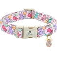 thumbnail image 1 of Collar para perro Lionheart Glory con estampado de huevos de pascua para perros de tamaño mediano, 1 of 5
