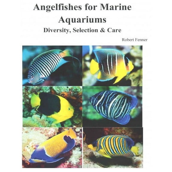 Angelfishes for Marine Aquariums: Diversity, Selection & Care (Paperback)
