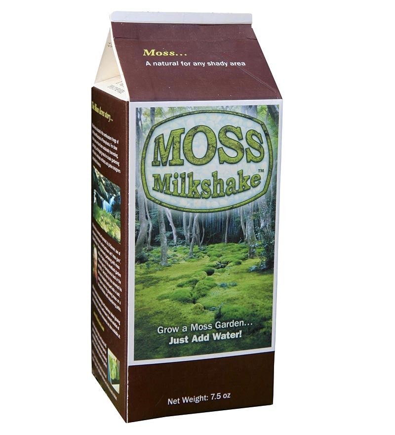 Moss Milkshake Moss Growing Formula
