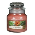 thumbnail image 3 of Yankee Candle The Last Paradise Small Classic Jar Candle 3.7 oz, 3 of 3