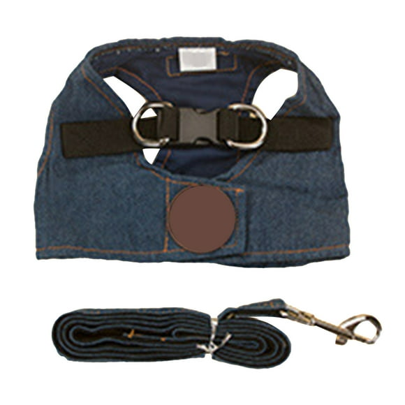 Pet Dog Vest Harness Leash, Blue Breathable Dog Harness Leash Kit for Playground M