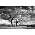 thumbnail image 3 of Hausenflock, Alan 24x17 Black Modern Framed Museum Art Print Titled - Roseville Oaks, 3 of 5