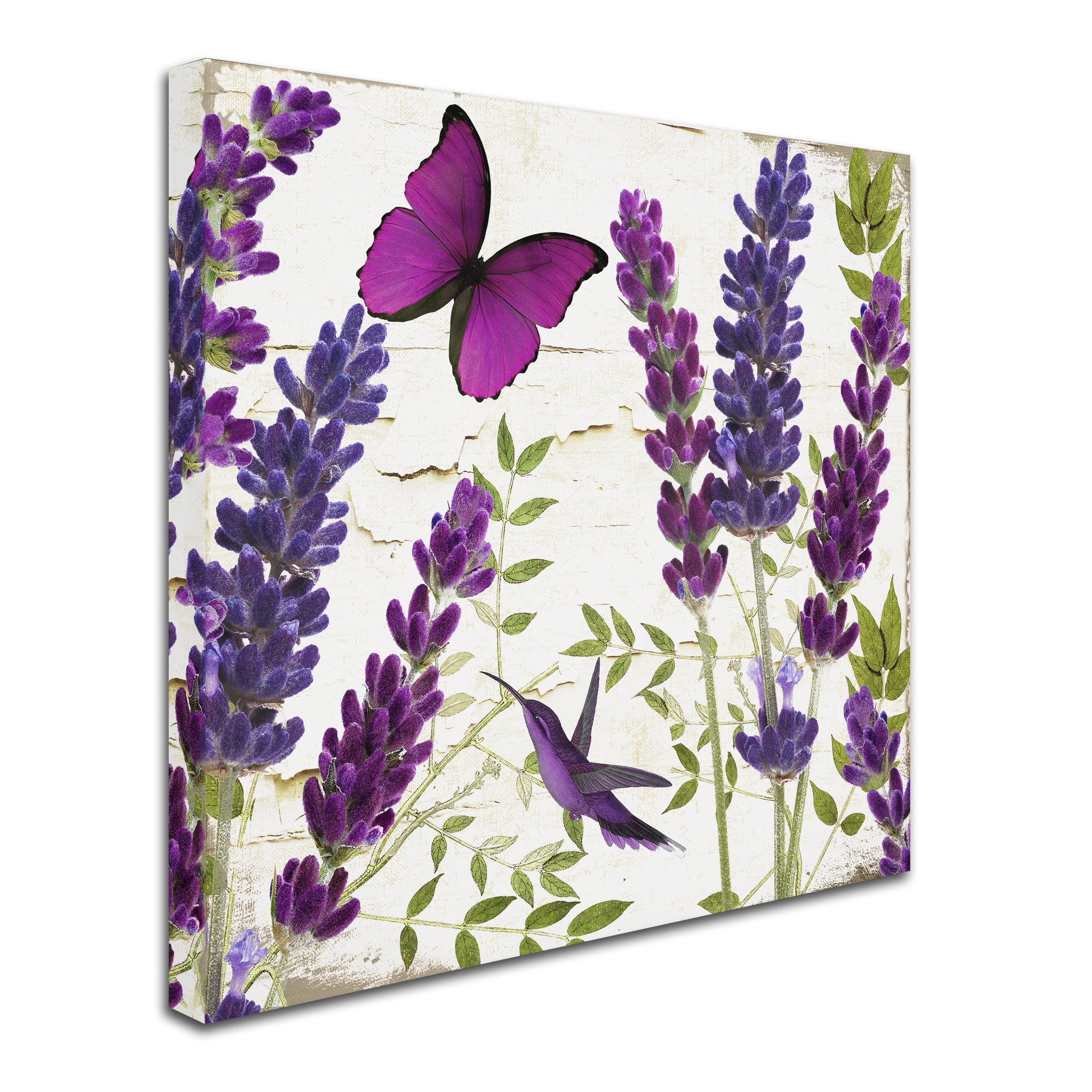 Trademark Fine Art "Lavender II" Canvas Art by Color Bakery