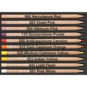 Caran dAche Luminance Colored Pencils - Set of 20, Portrait Colors