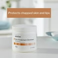 thumbnail image 3 of McKesson Skin Protectant 13 Ounce Jar Unscented Ointment, 3 of 9