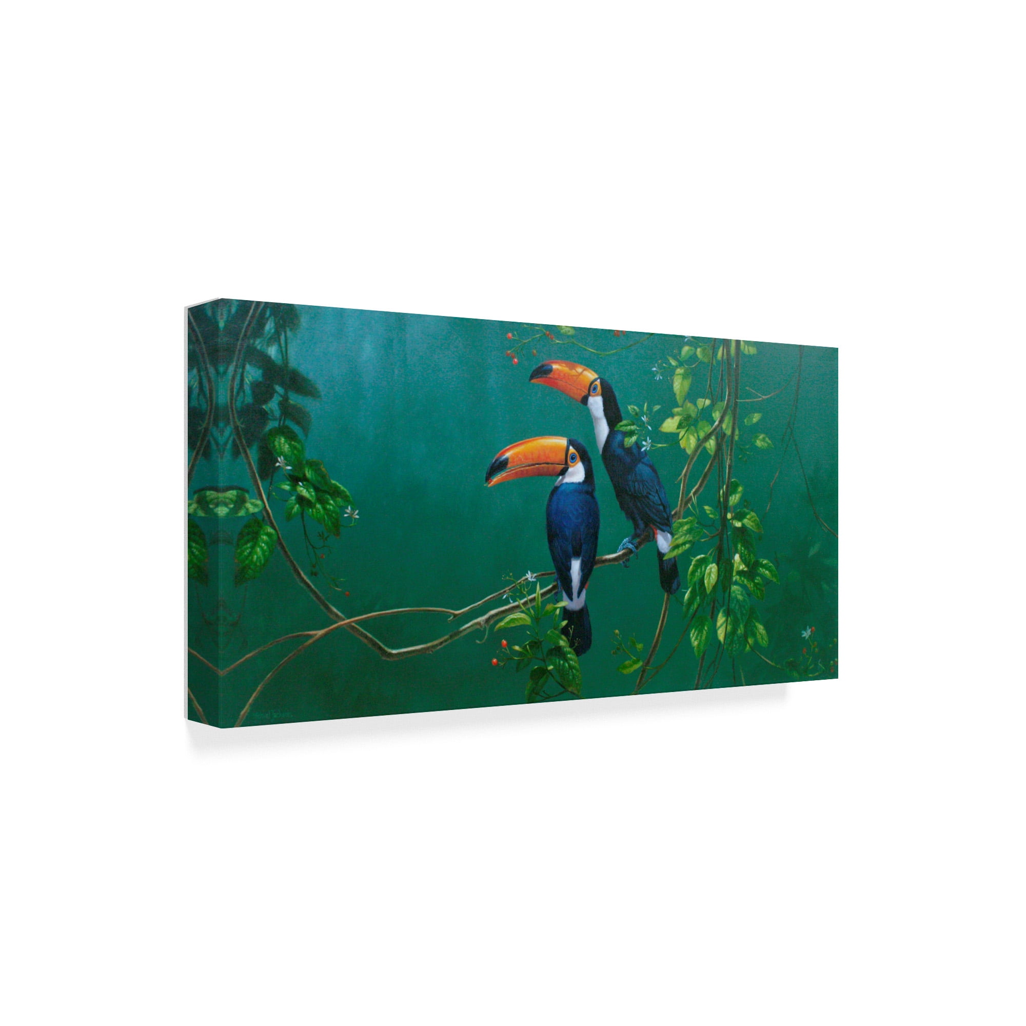 Trademark Fine Art 'Toucans Over Jungle' Canvas Art by Michael Jackson