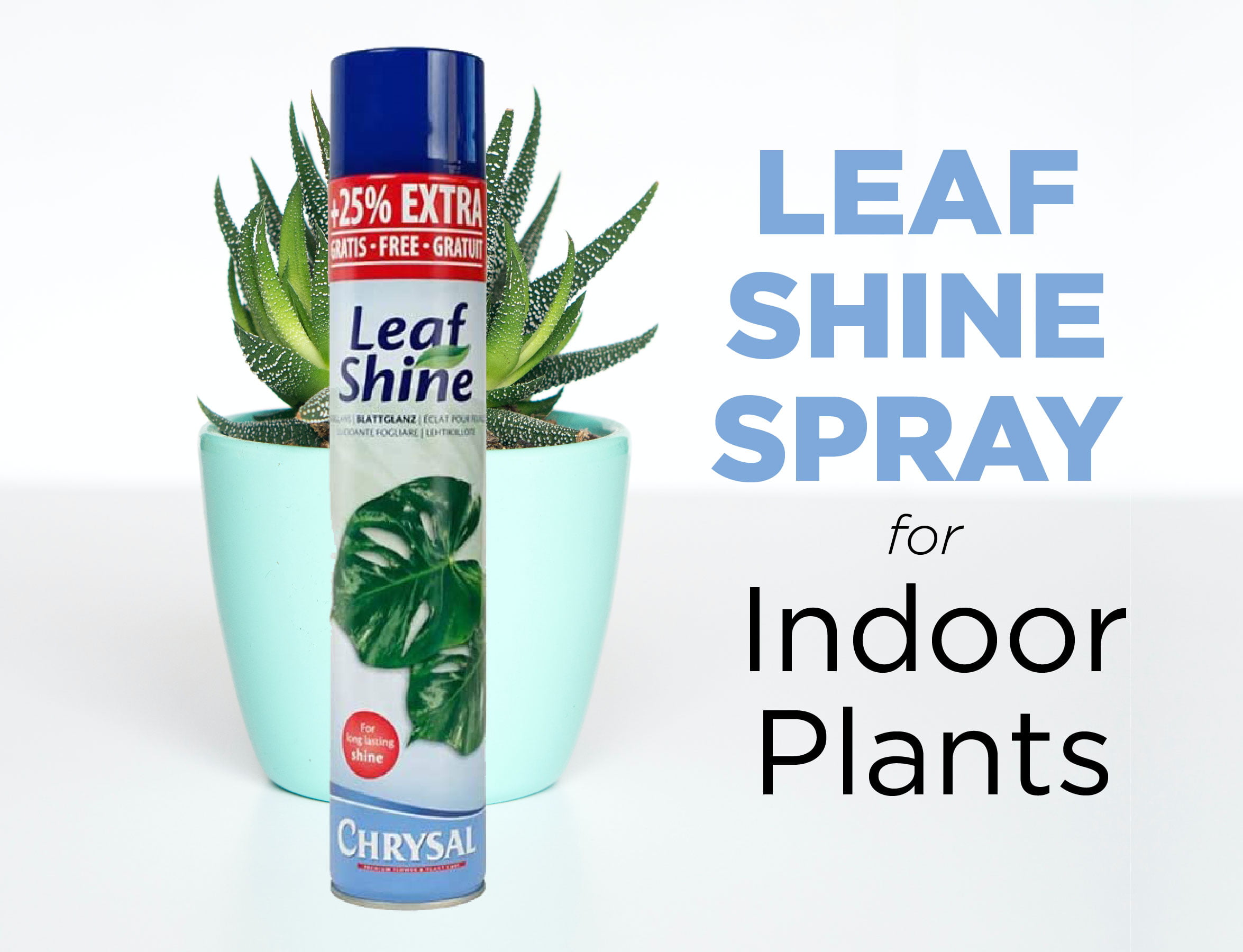Leaf Shine Spray, Indoor Plant Leaf Shine Spray Wholesale Supplier