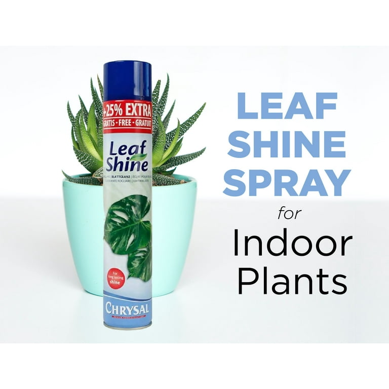 Chrysal Leaf Shine Spray