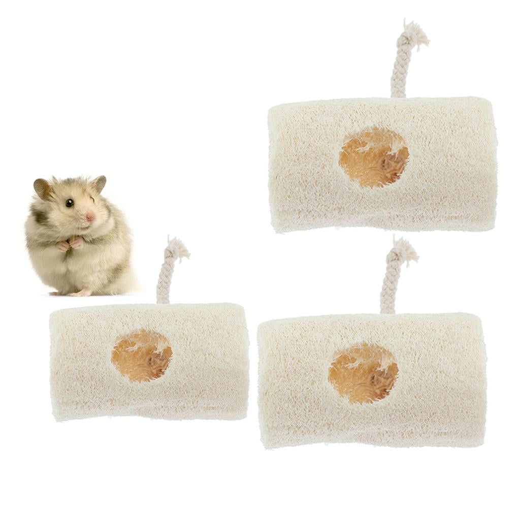 EHJRE 2Pcs Natural Loofah Chew Toys for Small Animals, Hamster Chew Toy for Rabbits, Guinea Pigs, Chinchillas, Cleansing Molar Toys