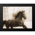 thumbnail image 2 of Villa, Milli 14x12 Black Modern Framed Museum Art Print Titled - Horse In The Wind, 2 of 5