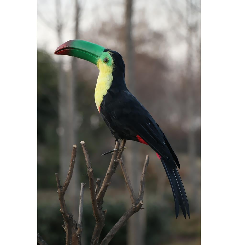 Details about   Fake Artificial Toucan Feathered Bird Garden Home Decor Taxidermy Bird #9 
