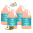 thumbnail image 1 of 1-Shoppe Terra Pure Eco Botanics Acondicionador natural con miel cruda y té blanco | Artículos de tocador a granel con jarra de un galón para alquileres vacacionales y baños domésticos en Airbnb | Rec, 1 of 5