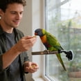 thumbnail image 1 of Creatine Natural Wooden Bird Stand For Parrots And Birds With Multiple Activity Stations And Chew(3 Styles Size), 1 of 4