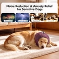 thumbnail image 3 of Soft Noise Cancelling Ear Wraps for Dogs-Dog Ear Cover with Thick Sound-Absorbing Pads for Noise Reduction&Anxiety Relief,Head Wrap Calming Hoodie for Thunder,Firework,Hematoma,Grooming(Coffee,M), 3 of 9