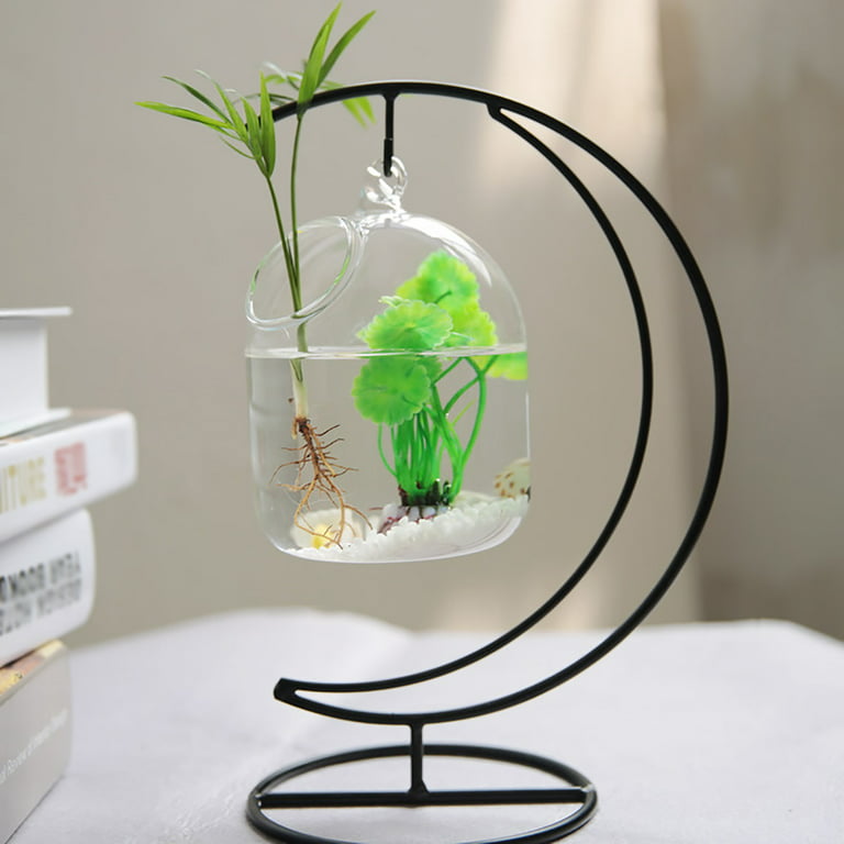 okwish Transparent Glass Small Fish Tank Wrought Iron Hanging Gold Fish Tank  (Random Color Of Sand, Stone And Water Plants) 