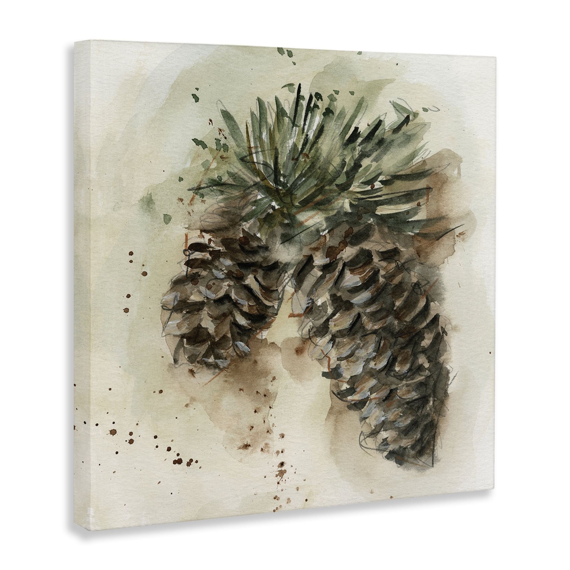 Stupell Industries Pine Cone Watercolor Plants & Flowers Painting Wrapped Canvas Art Print Wall Art, 17 x 17