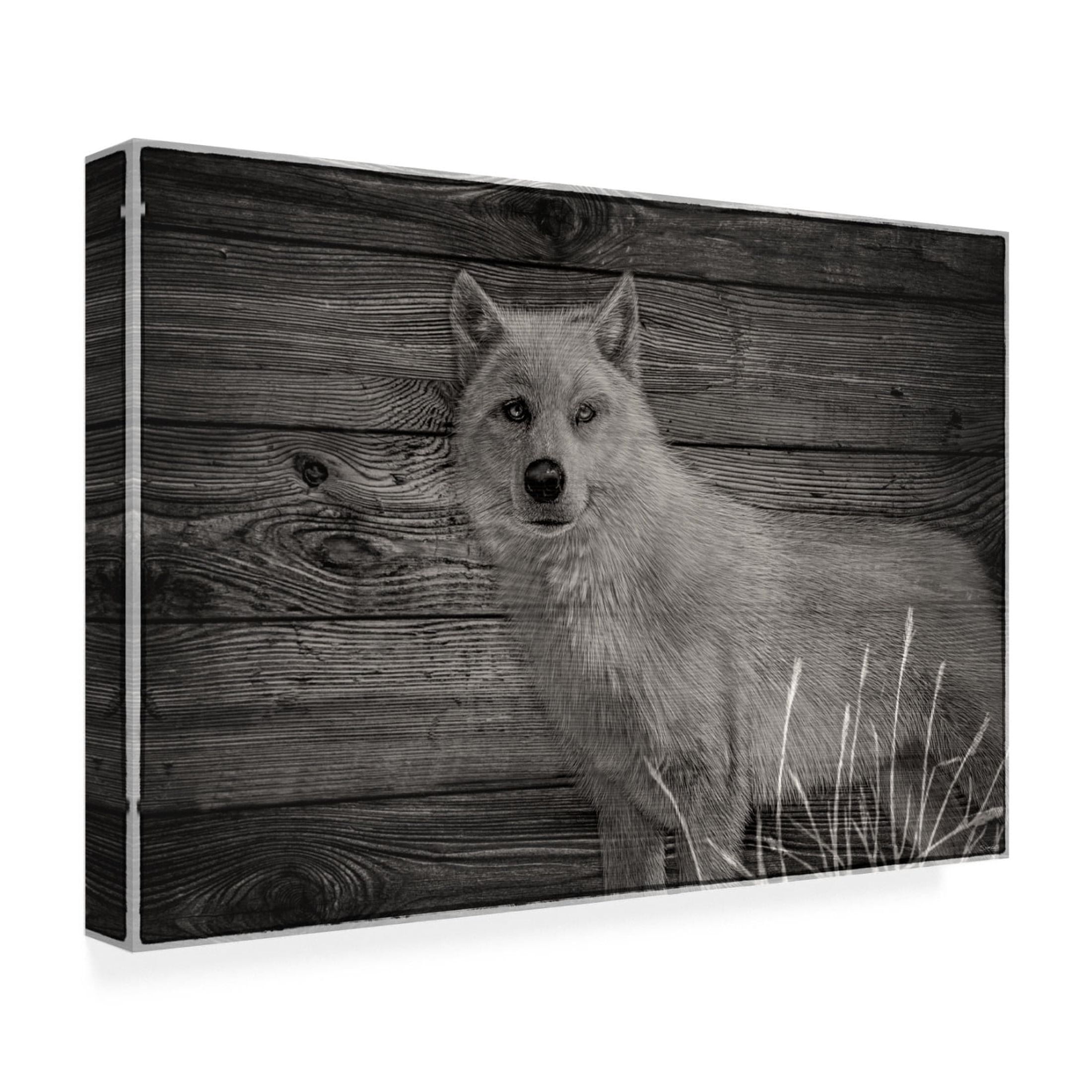 Canvas Wall Art - Gordon Semmens 'Woodgrain Antiques 14' Wall Art for Living Room, Bedroom, or Office Décor by Trademark Fine Art - 32 x 22 Inches