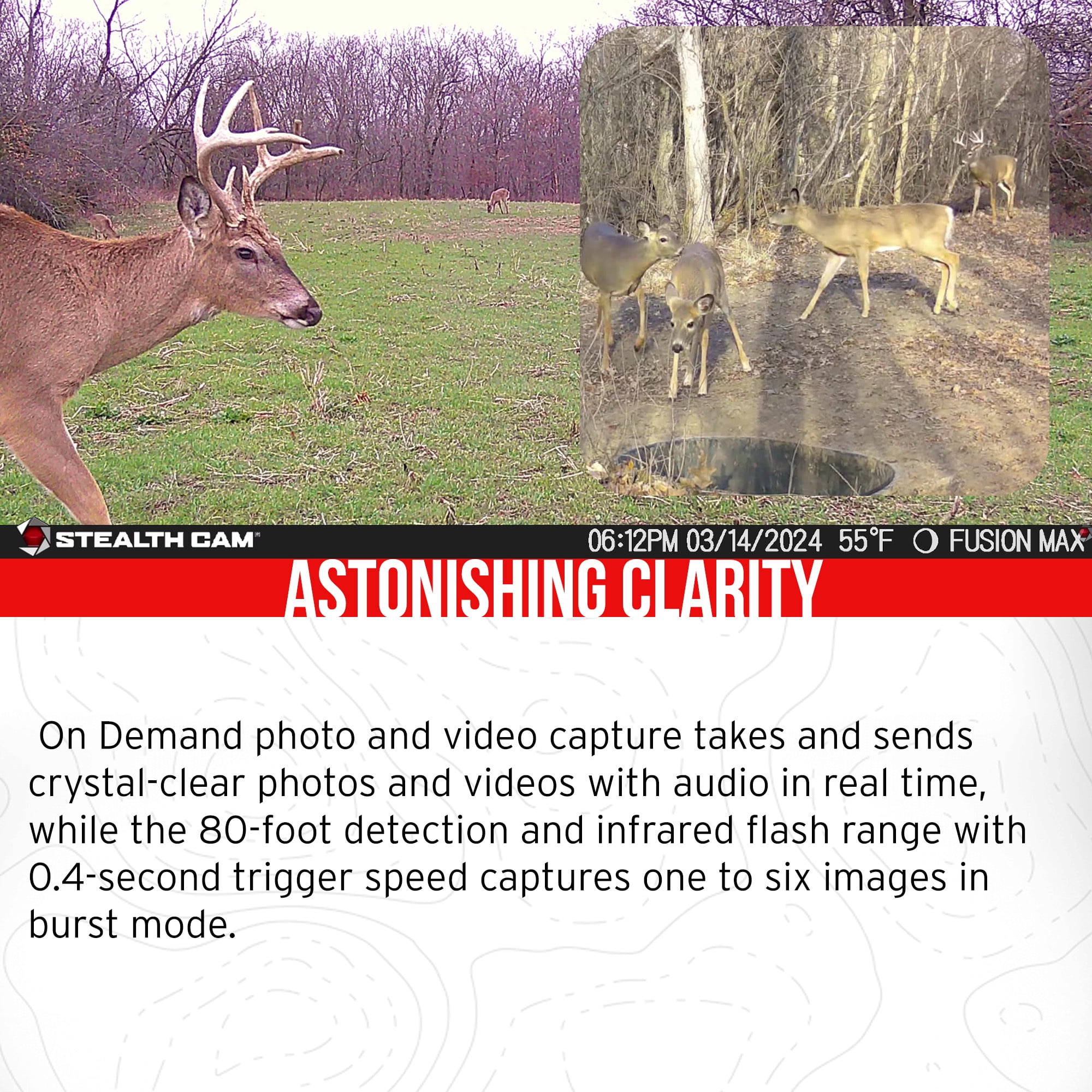 Stealth Cam 36MP Fusion Max Cellular Trail Camera Bundle with Lithium Solar Power Panel, Trail Camera Holder, 32GB Memory Card, and Card Reader (5 Items)