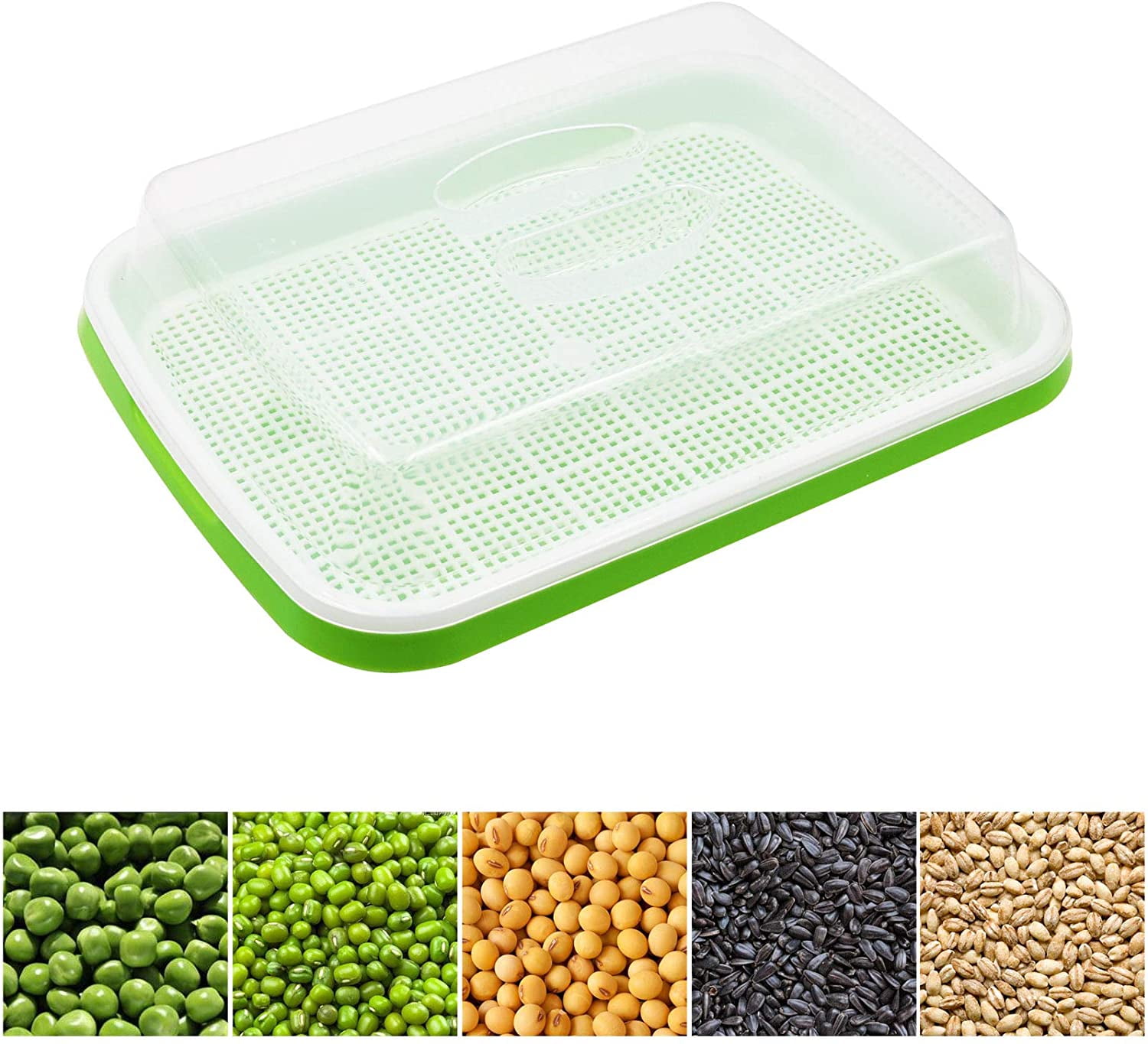 5 Layers Seed Starter Kit - Seed Sprouter Trays with Clear Lid & Stainless Steel Shelf, Soil-Free Germination Trays for Indoor/Outdoor Microgreens, Wheatgrass Mung Beans Cat Grass & Seedling Growing