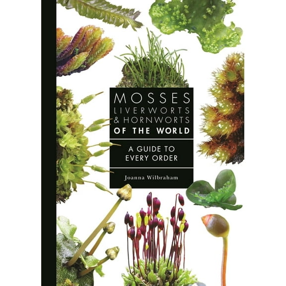 Guide to Every Family Mosses, Liverworts, and Hornworts of the World: A Guide to Every Order, (Hardcover)