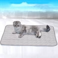 thumbnail image 3 of Pet All-Purpose Pet Mat for Dogs and Cats — Washable Portable Sleeping Pad for Indoor Outdoor Use Durable TPR Fabric Lightweight Easy Cleaner Versatile Pet Comfort, 3 of 4
