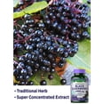 thumbnail image 4 of Nature's Truth Black Elderberry Capsules Super Concentrated Extract (Pack of 6), 4 of 6