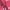 Red Camouflage, variant on WARMOUNTS Automatic Inflatable Life Jacket w/ Whistle, Adult PFD Survival Buoyancy Vest for Boating Fishing Sailing Surfing Kayaking for Men Women Max Waist Size: 50''