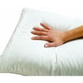thumbnail image 1 of Oreiller Anti-Acariens et Allergènes (Housse) Microfibre Premium (Taille Standard), 1 of 5