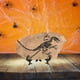 thumbnail image 5 of WORGEOUS Juego de decoraciones de fósiles de dinosaurio, espécimen de dinosaurio simulado, adorno fósil, 1 Juego, 5 of 8